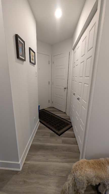 Beau 5 1/2, nouveau quartier, immeuble de 4 ans, Otterburn Park, pôle et store fournie, grande luminosité, immeuble tranquille, 2 stationnement | 3181260