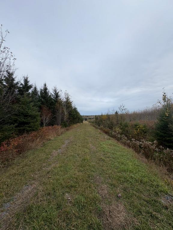 Terre construisible | 3181270