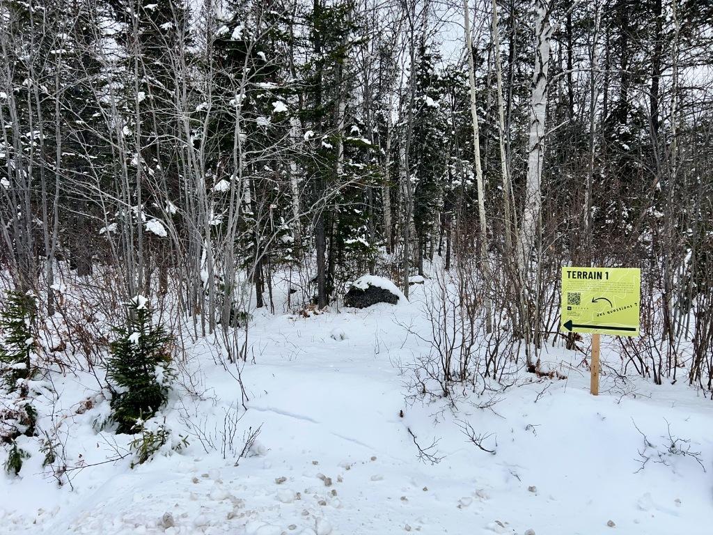 2 Terrains à Vendre à Petit-Saguenay | 3185645