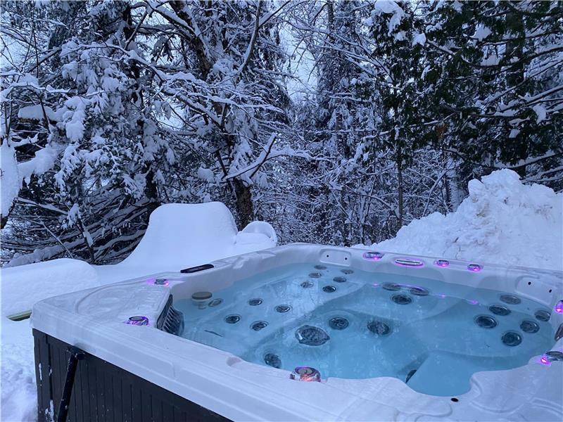 New Luxury Panoramic-VIEW Waterfront SPA BOAT DOCK PING-PONG BASKETBALL ARCADE | 3181696