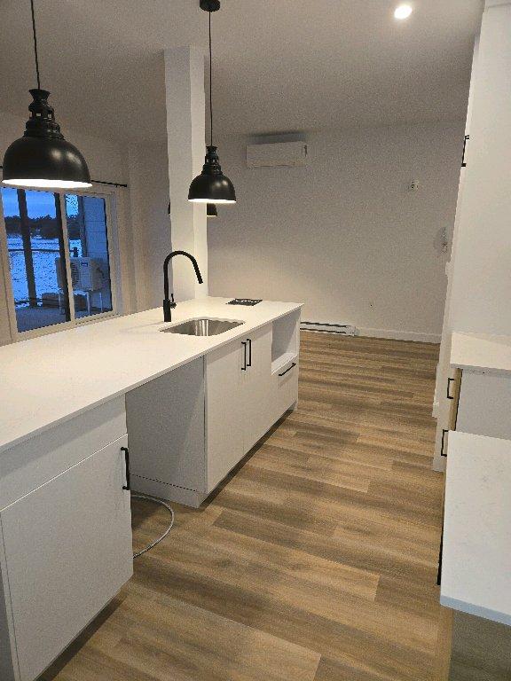 4 1/2 animaux acceptés | 3181710