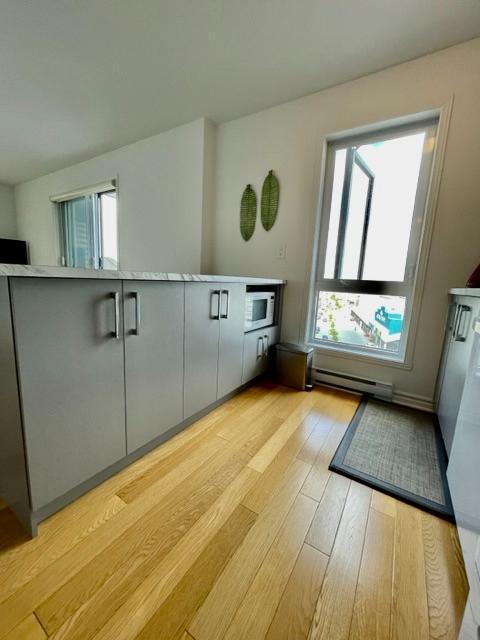 Charmant 3 ½ lumineux au 7e étage a 2 pas du metro Montmorency | 3181734
