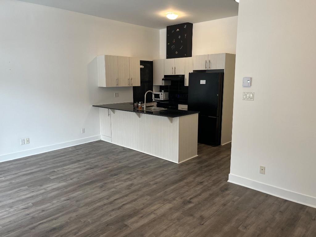 GRAND CONDO MODERNE 4 1/2 - STADE OLYMPIQUE / MÉTRO VIAU | 3181747