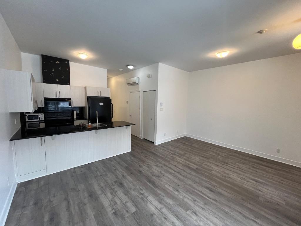 GRAND CONDO MODERNE 4 1/2 - STADE OLYMPIQUE / MÉTRO VIAU | 3181747