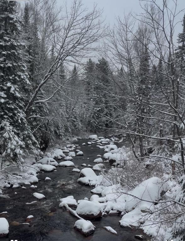 Terrain 10 acres sur ruisseau St-Donat | 3181748