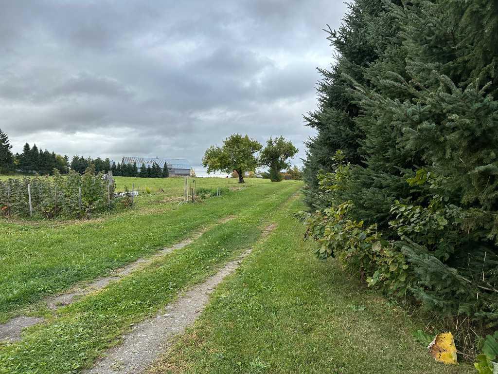 Terre avec grange et lac | 3181776