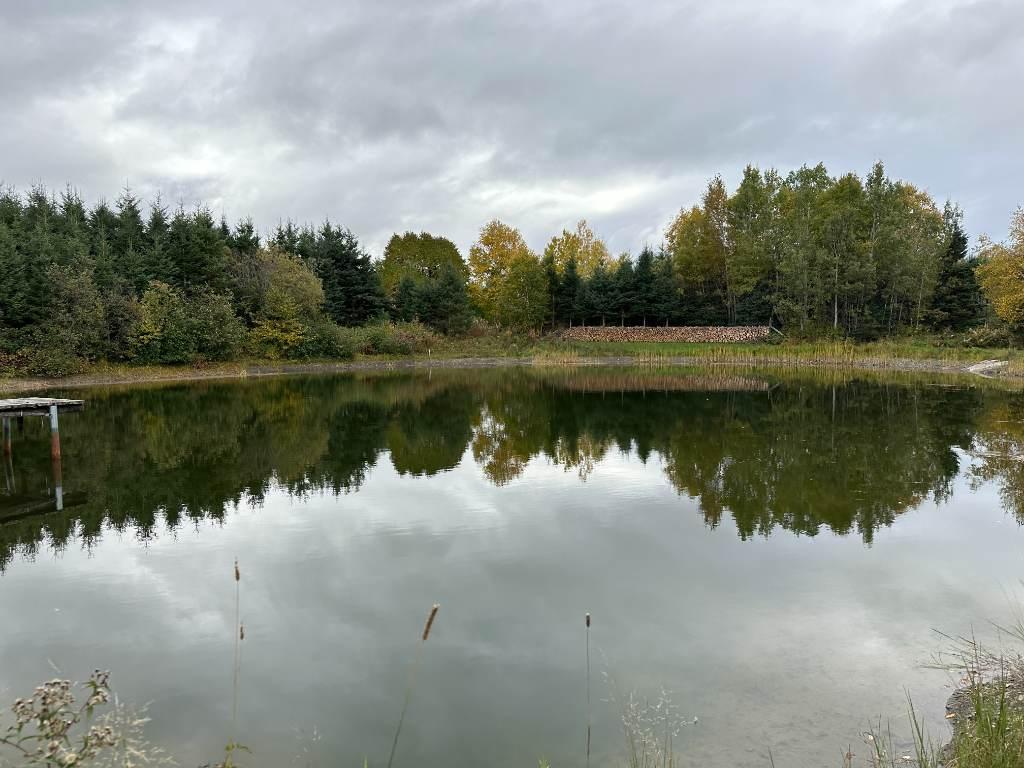 Terre avec grange et lac | 3181776