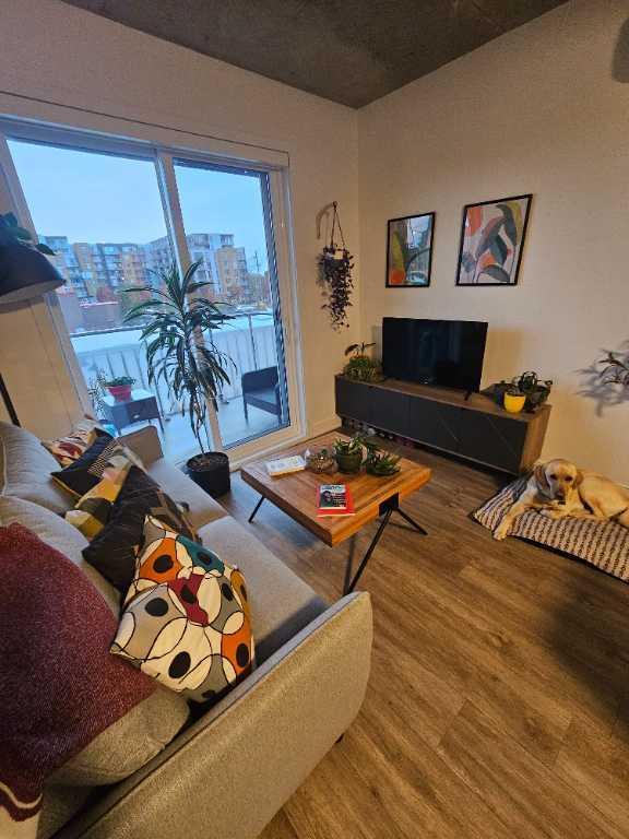 3 et demi à céder | 3181936