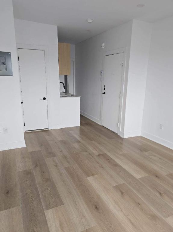 1 CH - 1 SDB - Montréal - $1,190 /mo | 3181960