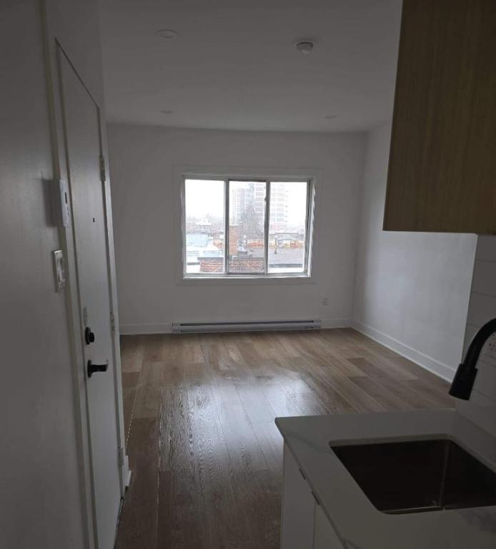 1 CH - 1 SDB - Montréal - $1,190 /mo | 3181960