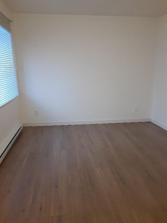 Saint-Rémi, 3 1/2 entièrement rénové à louer | 3181964