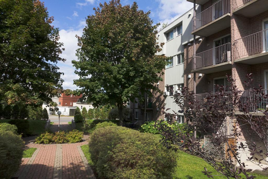 4 1/2 Vanier -ascenseur- proche des commodités- libre immédiatemment | 3199576