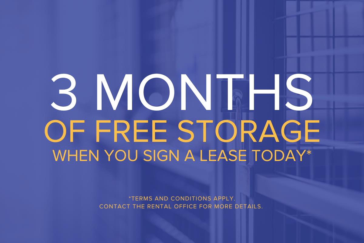 San Romanoway Apartments | 3181992