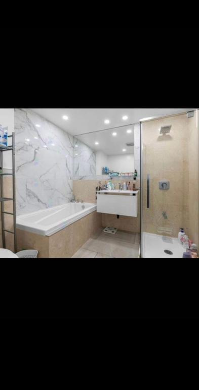 2 Beds 1 Bath Apartment 4 1/2 | 3182033