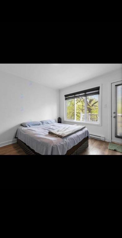 2 Beds 1 Bath Apartment 4 1/2 | 3182033