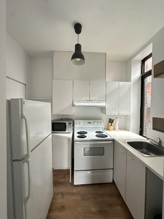 Grand 4 1/2 Plateau Mont-Royal | 3182042