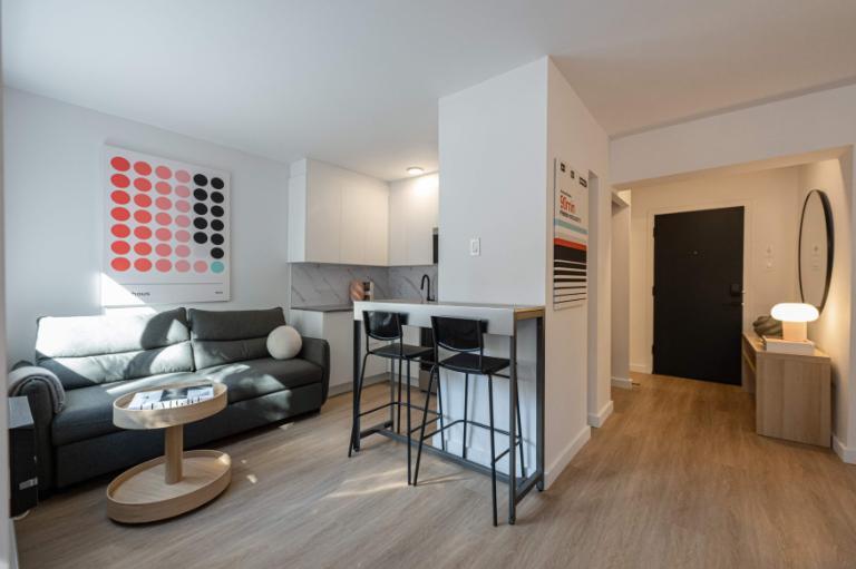 Appartement Une Chambre - Montréal Centre-Ville, Meublé | 3182047