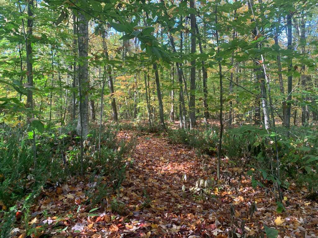 TERRAIN À VENDRE - ST-LAZARE | 3186253