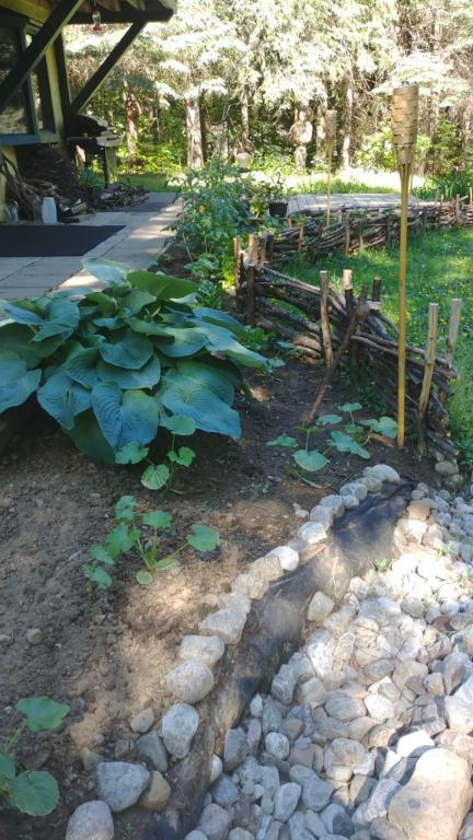 5 1/2 foyer tout inclus (wifi et hydro) terrain bordé d'un étang | 3182184