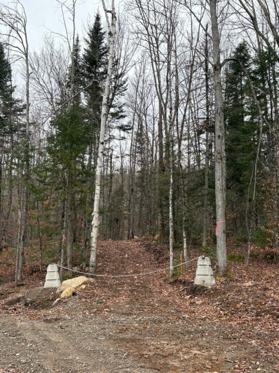 Terrain St-Alexis-des-Monts | 3186374