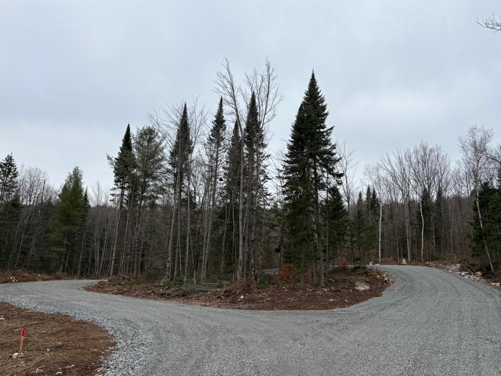 Terrain St-Alexis-des-Monts | 3186374