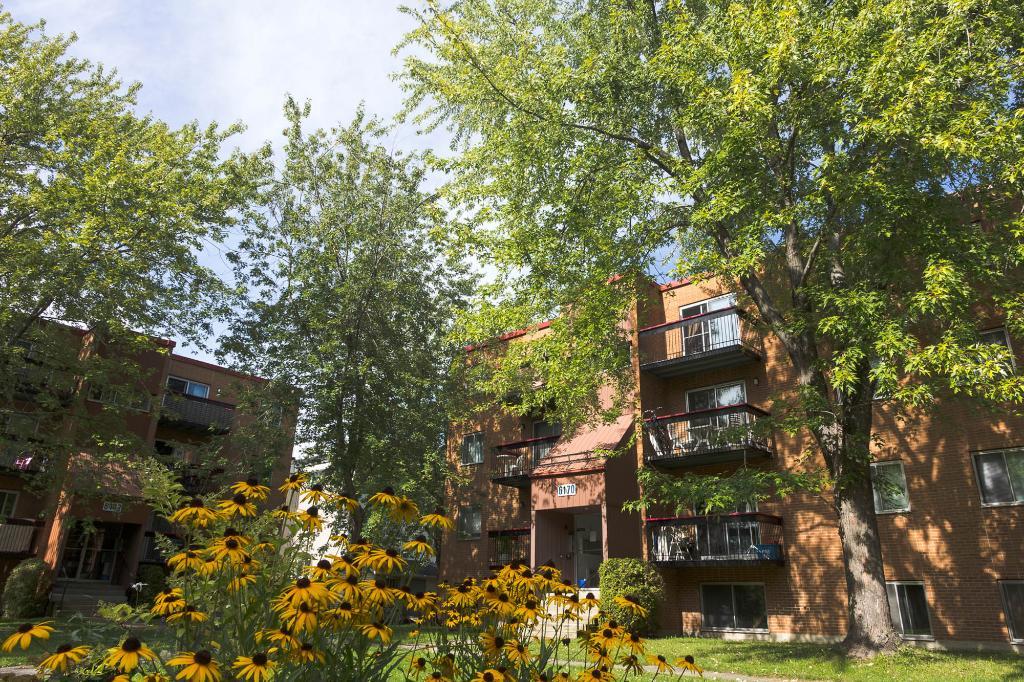 2 1/2 - Charny - Tout inclus - libre immédiatement | 3182439