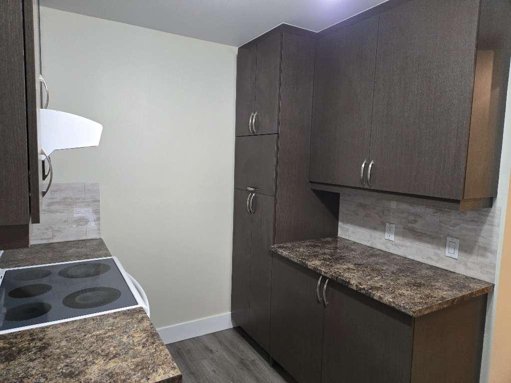 5 1/2 St-Roch Libre | 3182441