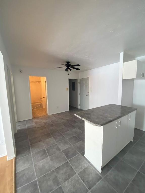 GRAND ET LUMINEUX 4.5 DISPONIBLE 1er JUILLET 2025 | 3182447