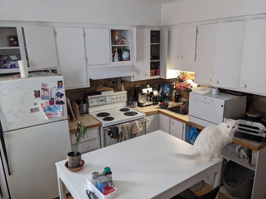 6 1/2 Hochelaga cession de bail | 3182486