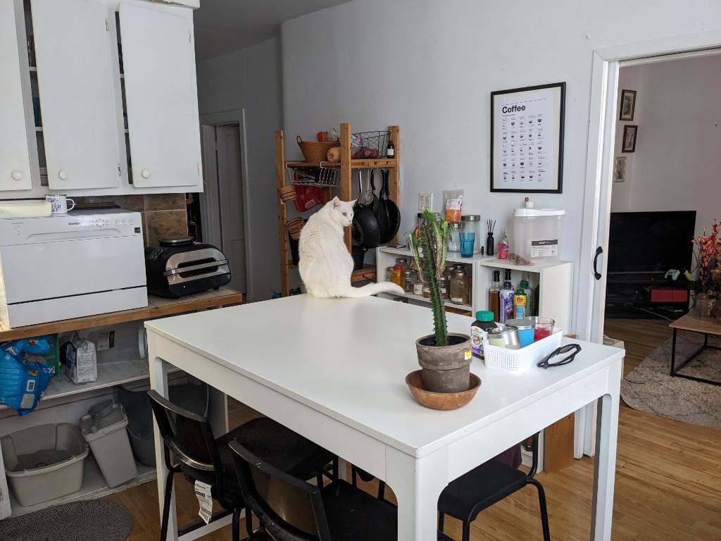 6 1/2 Hochelaga cession de bail | 3182486