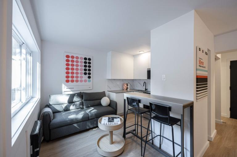 Appartement Une Chambre - Montréal Centre-Ville, Meublé | 3182501