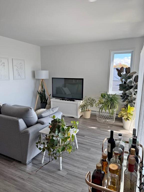 Superbe logement 3 1/2 + bureau à St-Nicolas, 1ier étage, climatisé, 2 STATIONNEMENTS EXTÉRIEURS INCLUS, LIBRE LE 1ier décembre 2025. | 3182589