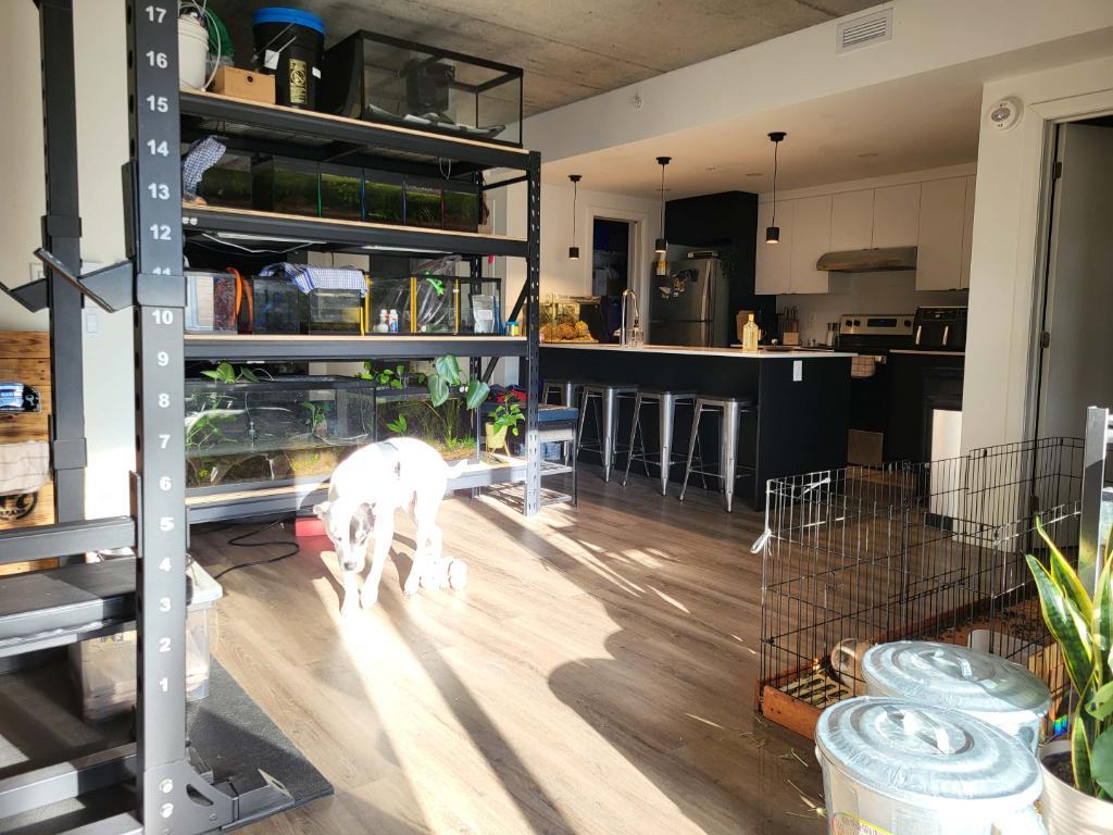 GRAND LOFT 3 1/2 | 3186836