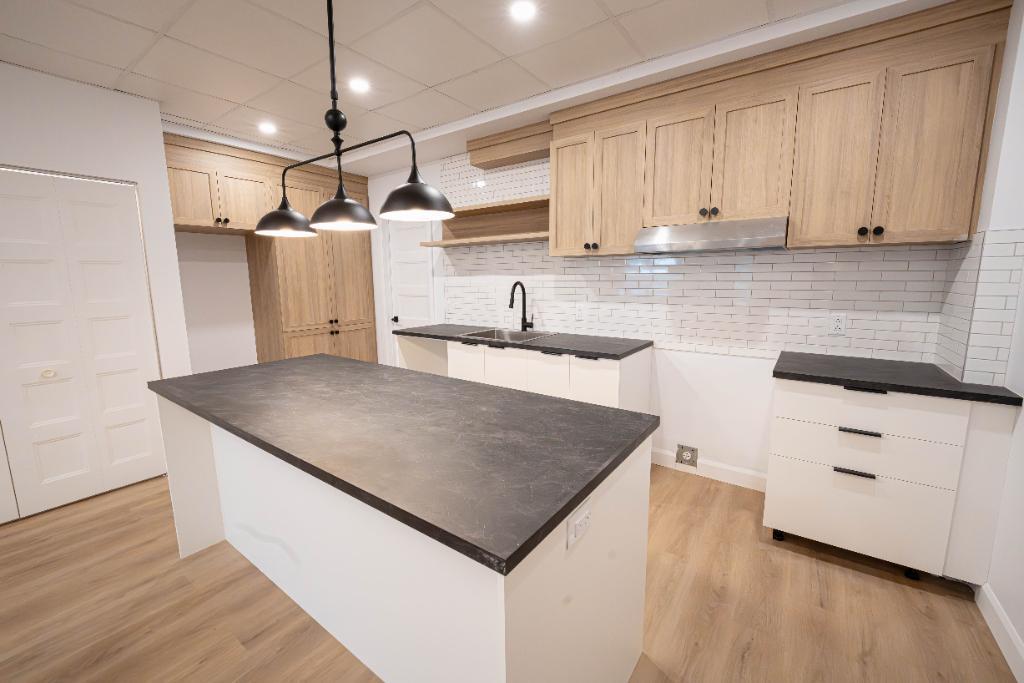 4 1/2 rénové à louer - Centre-ville St-Hyacinthe Condo / appartement / logement | 3182823