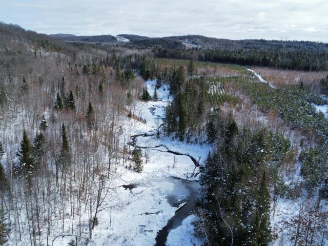 St-Elie-de-Caxton (Mauricie) : Terre zonée blanche | 3183341