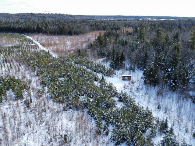St-Elie-de-Caxton (Mauricie) : Terre zonée blanche | 3183341