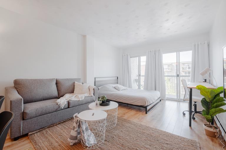 Loft entièrement meublé à louer Sainte-Foy / Sillery décembre 2025 | 3194579