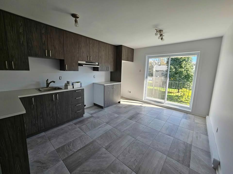 Grand 4 1/2 rénové à Varennes | 3183316