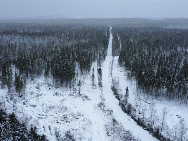Ste-Rose-de-Watford (Chaudière-Appalaches) : Terre de 105 acres avec droit de construction, forêt mixte, chemin forestier | 3184581