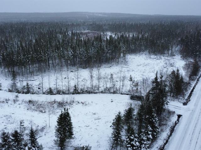 Ste-Rose-de-Watford (Chaudière-Appalaches) : Terre de 105 acres avec droit de construction, forêt mixte, chemin forestier | 3184581