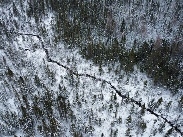 Ste-Rose-de-Watford (Chaudière-Appalaches) : Terre de 105 acres avec droit de construction, forêt mixte, chemin forestier | 3184581