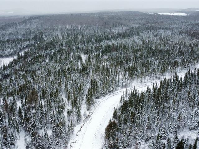 Ste-Rose-de-Watford (Chaudière-Appalaches) : Terre de 210 acres avec droit de construction, forêt mixte, chasse zone 3 ouest | 3184582