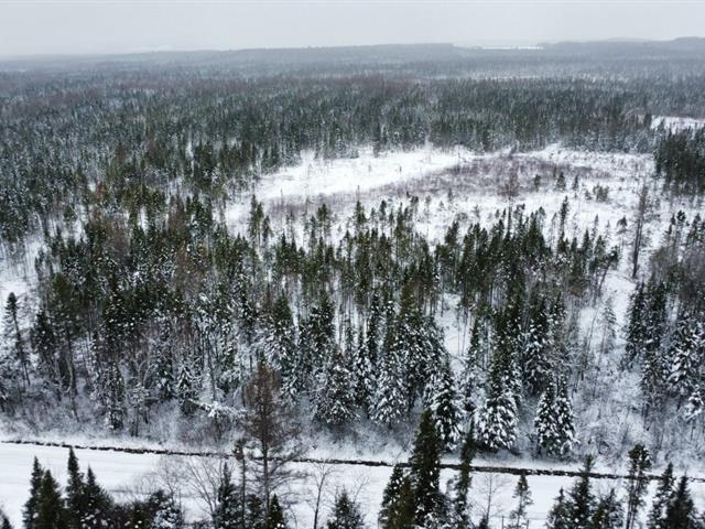 Ste-Rose-de-Watford (Chaudière-Appalaches) : Terre de 210 acres avec droit de construction, forêt mixte, chasse zone 3 ouest | 3184582