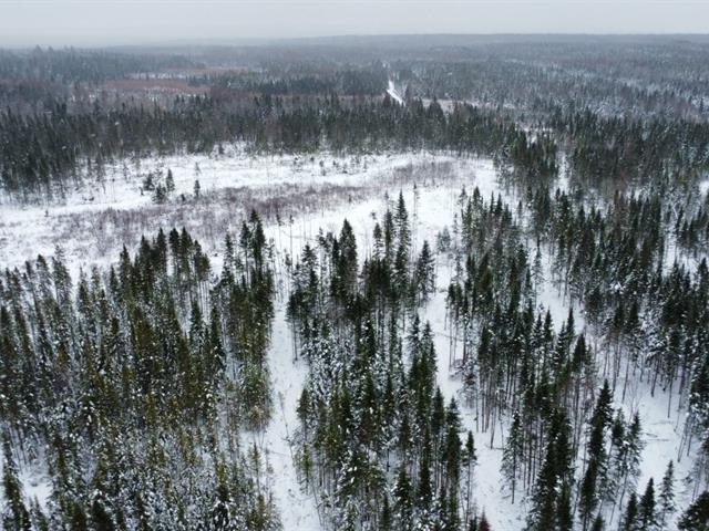 Ste-Rose-de-Watford (Chaudière-Appalaches) : Terre de 210 acres avec droit de construction, forêt mixte, chasse zone 3 ouest | 3184582