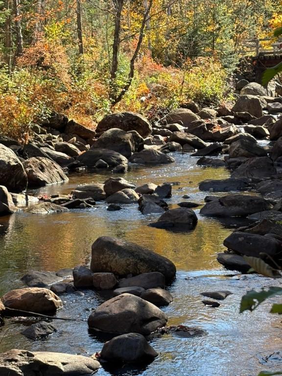 Terrain sur ruisseau St-Donat | 3190349