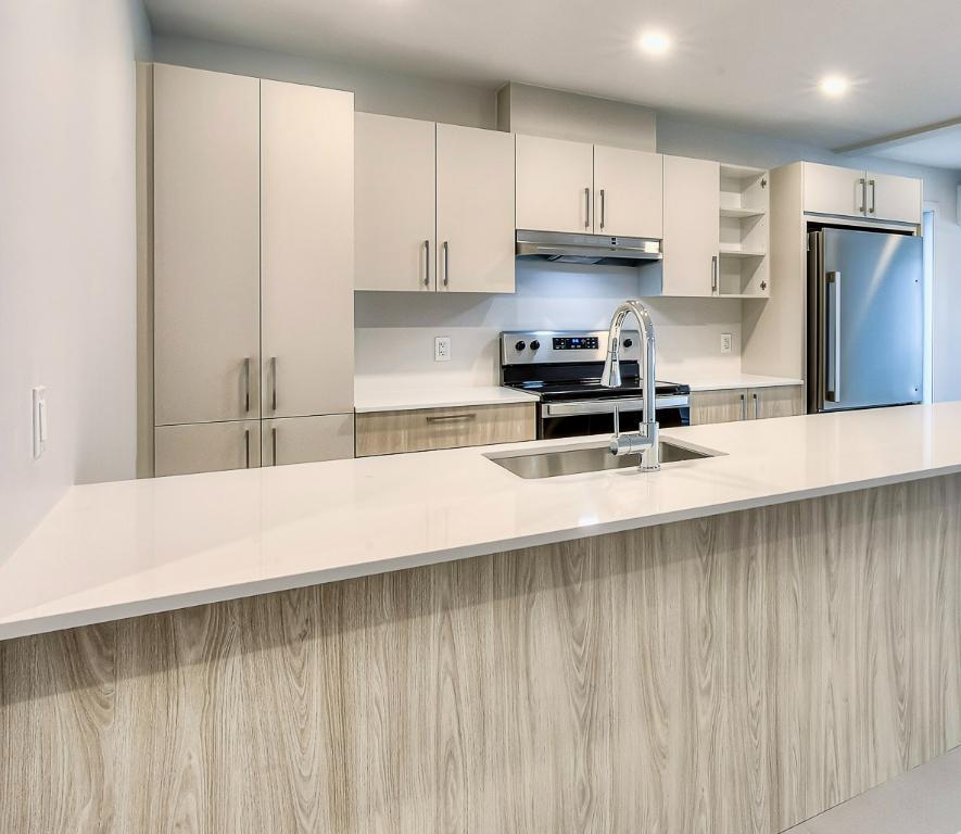 CONDO 5 1\2 FLAMBANT NEUF + 5 ÉLECTRO INCLUS + GRAND BALCON + STATIONNEMENT | 3183549