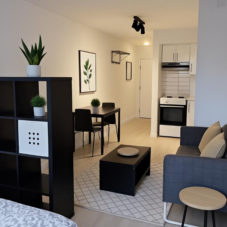 Studio - Montréal - $1,099 /mo | 3183672