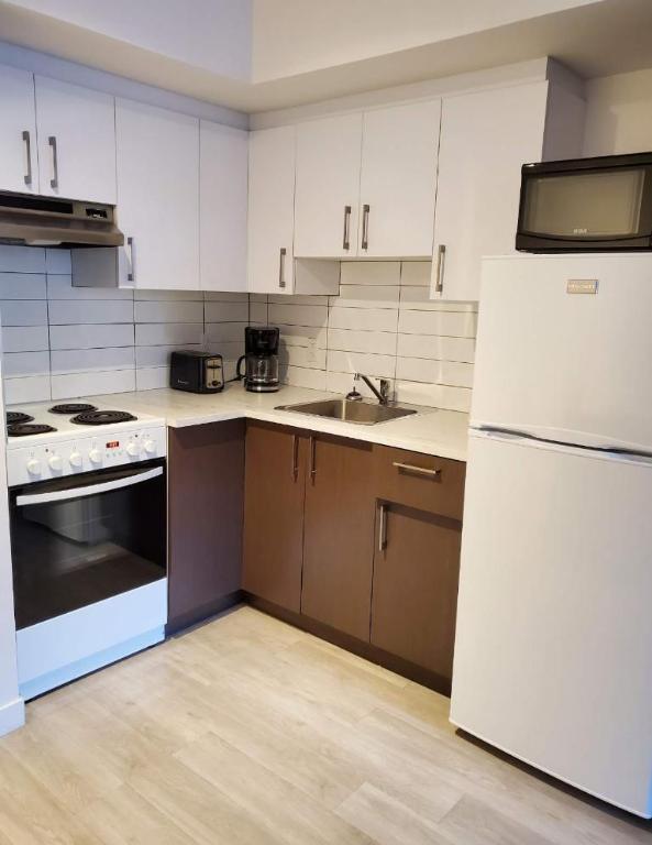 Studio - Montréal - $1,099 /mo | 3183672