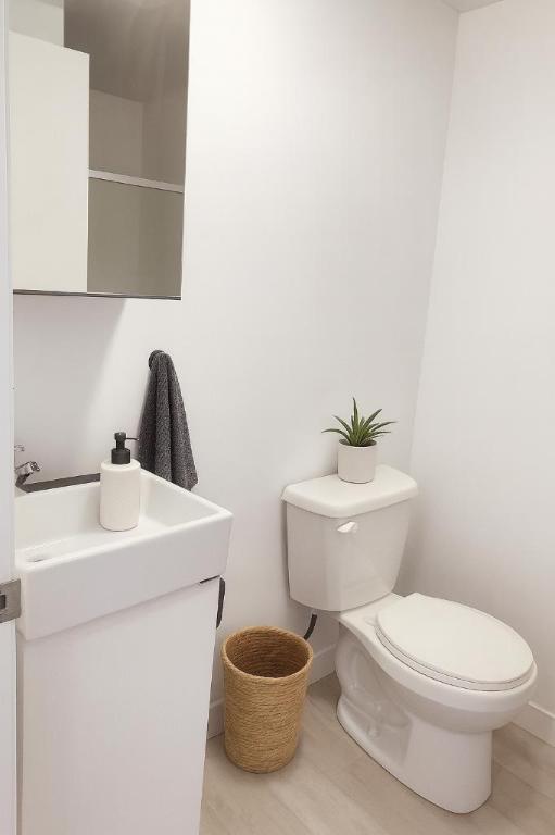Studio - Montréal - $1,099 /mo | 3183672