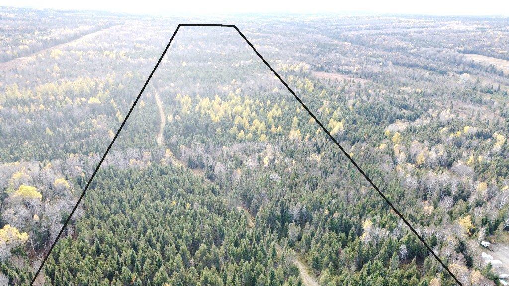 Terre à bois à vendre à Ste-Perpétue de l'Islet | 3183808